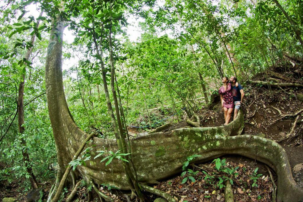 Jungle Vista Boutique Hotel Nationalpark Nationalpark Manuel Antonio Exterior foto